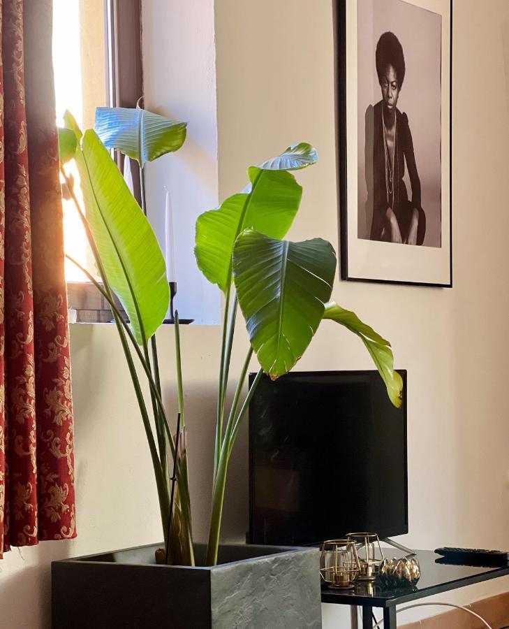 Novi Ligure Private Apartment Экстерьер фото